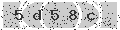 verify code
